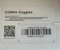 Skyzone Cobra SD gray