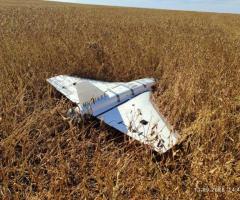 Гербера в повному комплекті, вигляд як на фото