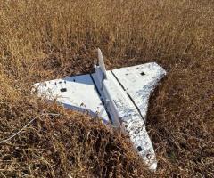 Гербера в повному комплекті, вигляд як на фото