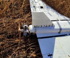 Гербера в повному комплекті, вигляд як на фото